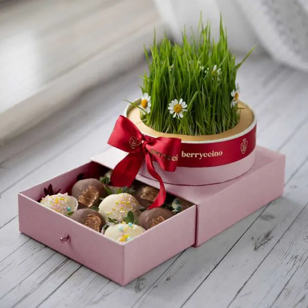 NOWRUZ