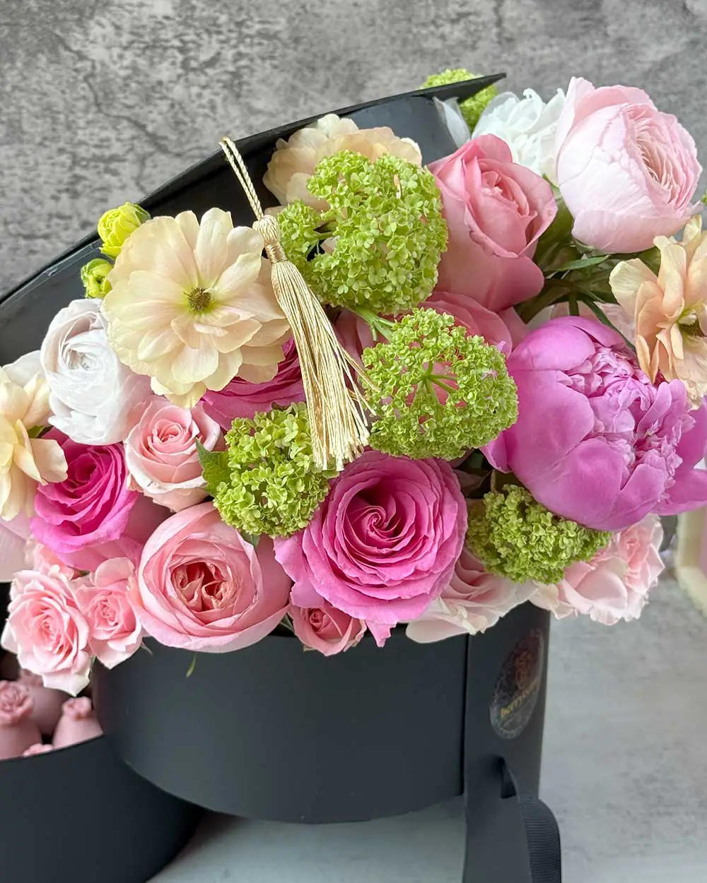 GRADUATION MAGIC - Image 5