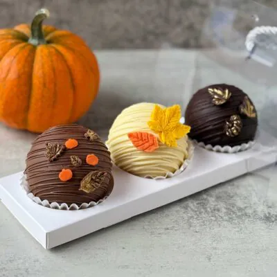HOT CHOCOLATE BOMBS